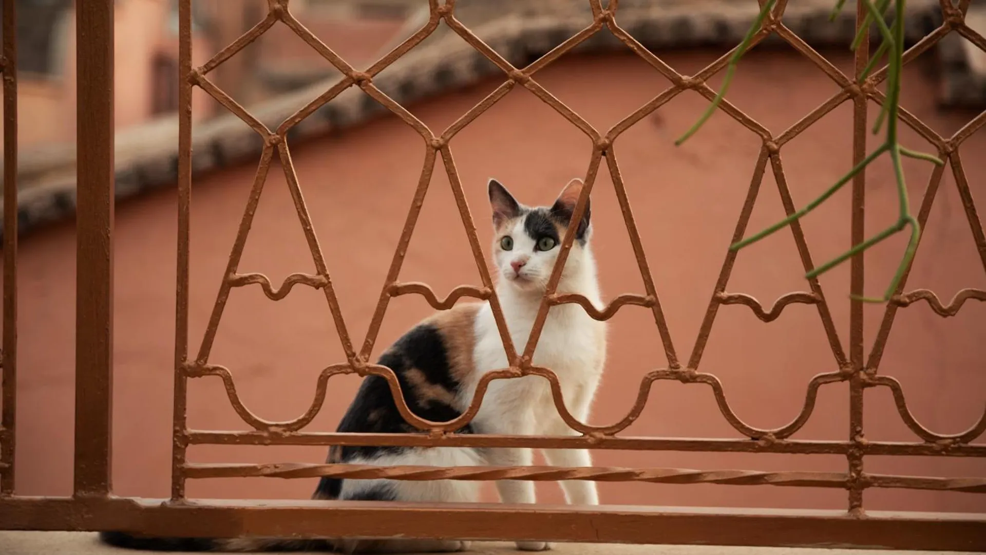 Riad Miss Caracal Marrakesh